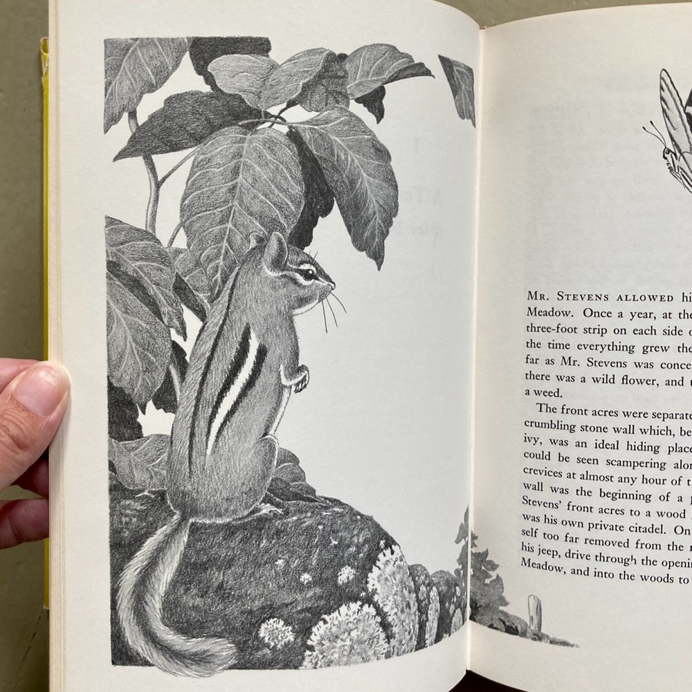 1967 Wings in the Meadow First Printing Nature Butterflies Monarch Butterfly